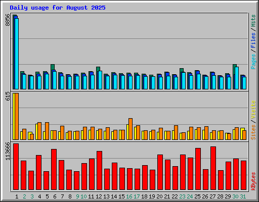 Daily usage for August 2025