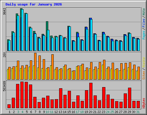 Daily usage for January 2026