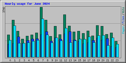 Hourly usage for June 2024