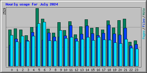 Hourly usage for July 2024