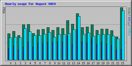 Hourly usage for August 2024