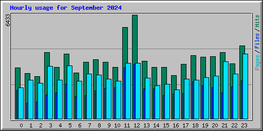 Hourly usage for September 2024