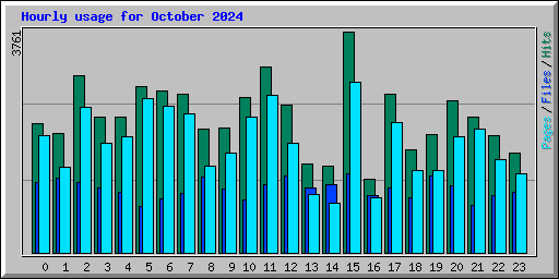 Hourly usage for October 2024