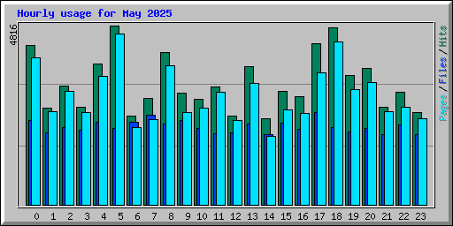 Hourly usage for May 2025