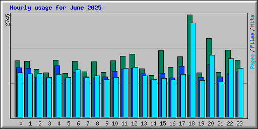 Hourly usage for June 2025