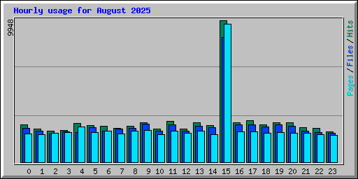 Hourly usage for August 2025