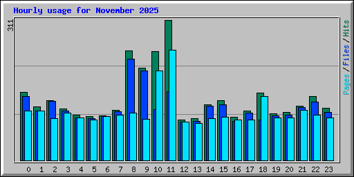 Hourly usage for November 2025