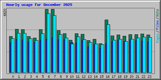 Hourly usage for December 2025