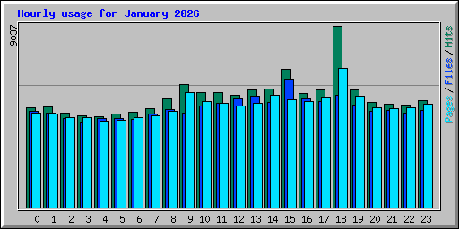 Hourly usage for January 2026